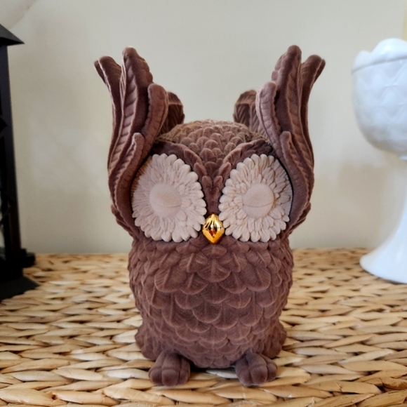 Bath & Body Works Other - New Bath & Body Works Owl 3 Wick Candle Holder Decor Gift HTF